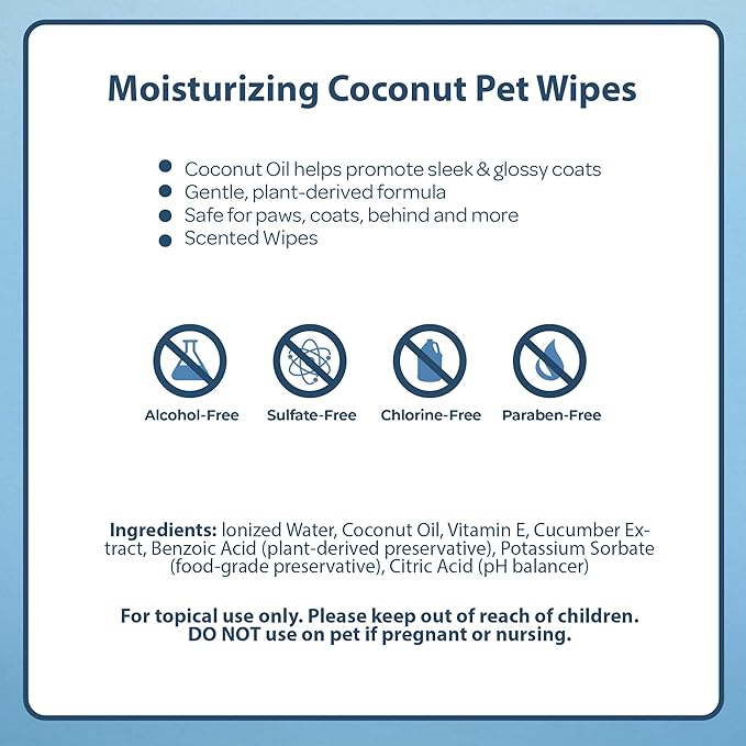 Best Pet Supplies 8" x 9" Large Dog Wipes - Cleaning and Deodorizing for Paws and Coat - Gentle Formula with Coconut Vitamin E for Puppies and Cats - 400 Count