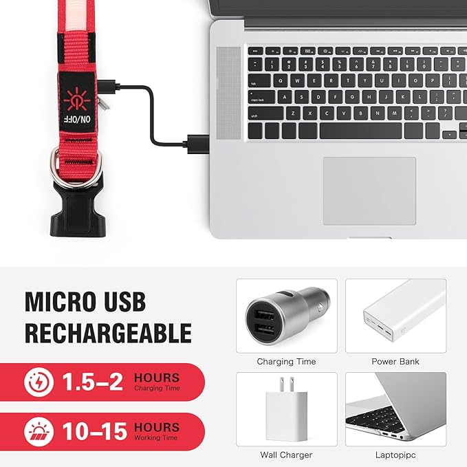 Illumifun Light Up Collar for Small Dogs, USB Rechargeable LED Dog Collar Glowing in The Dark, Safety Collar Light for Your Pups (Red, Small)