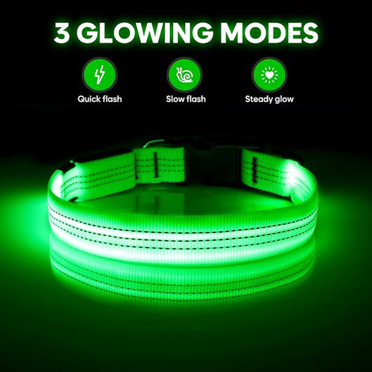 Illumifun Light Up Dog Collar - USB Rechargeable LED Dog Collar, Adjustable Lighted Pet Safety Collar for Night Walking (GreenⅢ, Small)