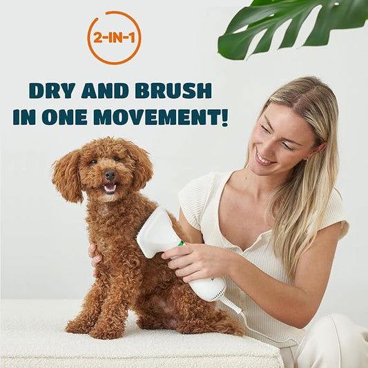 2-in-1 Dog Dryer with Slicker Brush for Small Dogs and Cats, Pet Hair Dryer, Dog Blow Dryer for Grooming with 300 Watts, 75-85 dB, Adjustable Temperature, Overheat Protection