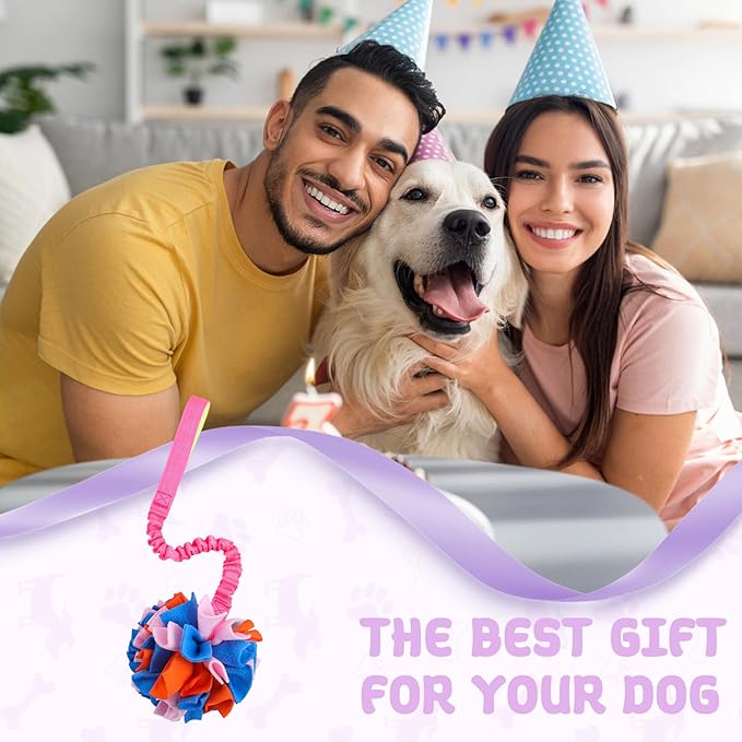 Snuffle Ball with Bungee Tug, Tug of War Rope Toys for Small Medium Dogs, Interactive Dog Toys Puppy Training Pull Toy for Exercise & Interactive Play Games (Purple)