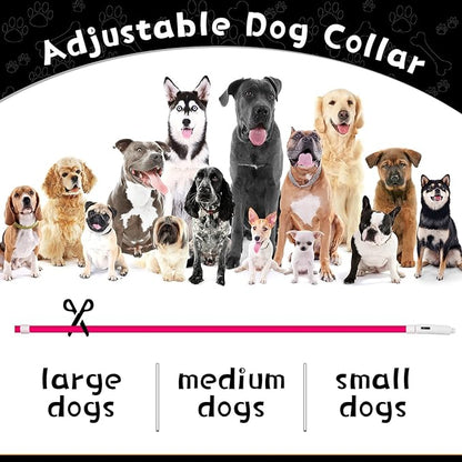Weewooday 3 Pcs Dog Collar USB Rechargeable LED Light up Dog Collar Flash Waterproof Pet Necklace Pet Lights for Night Walking Adjustable Safety Necklace for Large Medium Small Puppy(3 Natural Colors)