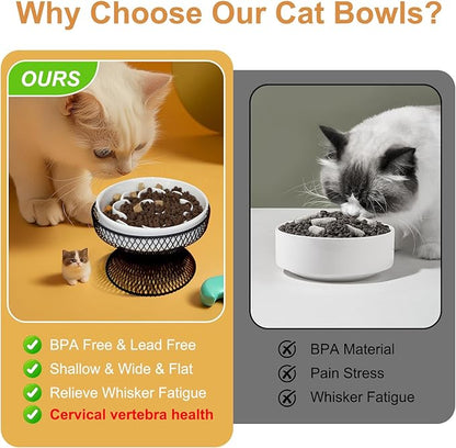 Elevated Ceramic Cat Slow Feeder Bowl Raised Cat Food Bowl with Stand, Detachable pet Bowl Design for Wet Food and Dry Food, Whisker Friendly Pet Puzzle Feeder for Kitten and Small Dog