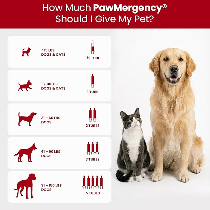 PawMergency – Activated Charcoal First Aid Kit Emergency Rescue for Dogs, Cats, Puppy & Pet Poison Kit, Camping Survival Remedy Essential,Oral Anti Diarrhea Digestive Paste Ready Absorb Toxins