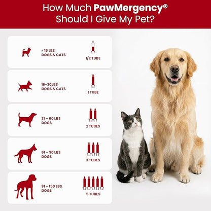 PawMergency – Activated Charcoal First Aid Kit Emergency Rescue 5 Pack for Dogs, Cats, Puppy & Pet Poison Kit, Camping Survival Remedy Essential, Oral Anti Diarrhea Digestive Absorb Toxins