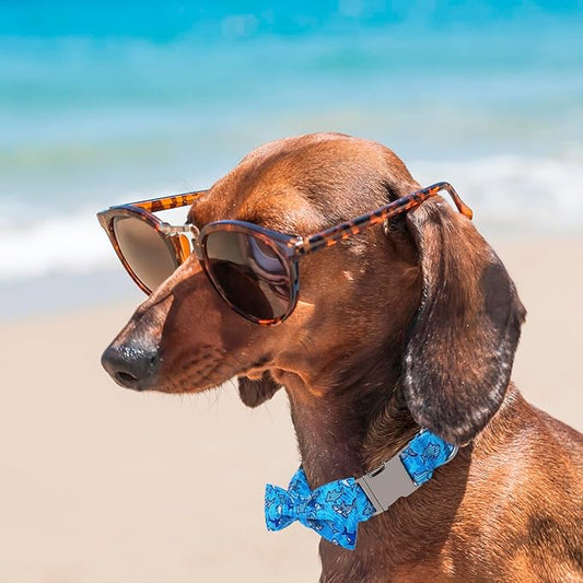 Maca Bates Summer Shark Dog Collar with Bow Tie Cute Blue Puppy Beach Bowtie Collars Sharks Adjustable Durable Soft for Dogs for Girl Boy Male Female Pets with Metal Buckle,Medium