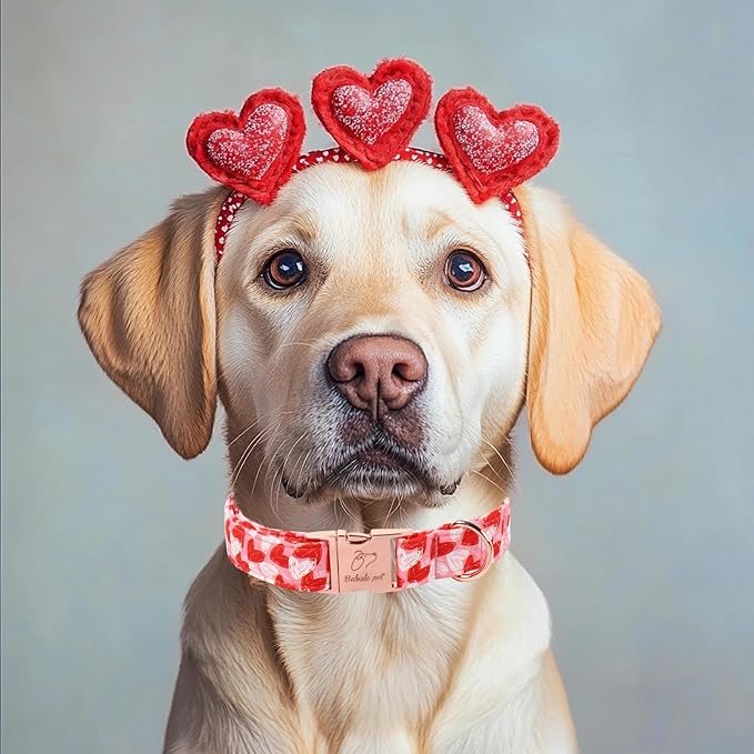 Valentines Dog Collar, Cute Pink Valentine Dog Collars, Doodle Heart Pattern, Adjustable Heavy Duty Pet Collar for Small Medium Large Dogs with Metal Buckle L