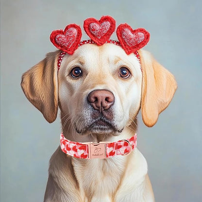Valentines Dog Collar, Cute Pink Valentine Dog Collars, Doodle Heart Pattern, Adjustable Heavy Duty Pet Collar for Small Medium Large Dogs with Metal Buckle XS