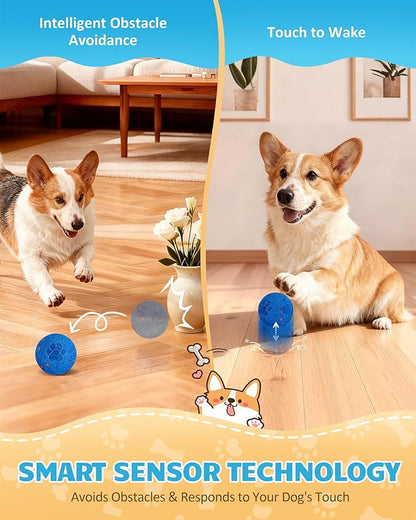 Interactive Dog Ball & Interactive Dog Toys for Medium/Large Dogs: Self-Moving, Auto-Vibrating & Bouncing Smart Ball - 3.1“ Chew-Resistant E-TPU, IPX7 Waterproof & Low-Noise(Include Gift Bag)