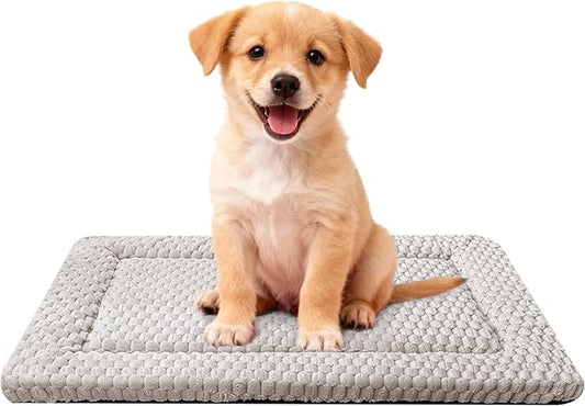 Dog Bed Mat,Reversible & Ultra Soft Kennel Pad-Machine Washable Pet Bed for Dogs & Cats-All-Weather Crate Liner for Crates,Carriers & Travel (Light Gray, 24" L x 18" W x 1.5" Th)