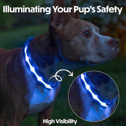 Light Up Dog Collar – Reflective, Adjustable & Rechargeable Electronic Glow Pet Collars – Bright, Comfortable, High Visibility LED Dog Collar for Night Safety, Outdoor Walk, Flashing Fun, Blue, Medium