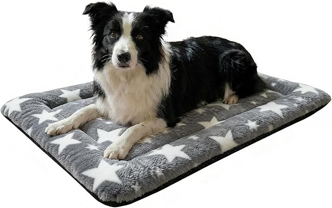 Washable Dog Bed Mat With Anti-Slip Bottom, Deluxe Plush Memory Foam Crate Pad & Waterproof Outdoor Kennel Mat For Dogs & Cats-Durable Crates Beds, Large Medium Small Puppy Size 30" x 20",Gray