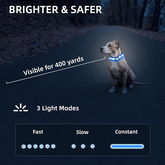 LED Dog Collar for Small Dogs Cats - Fully Waterproof & Adjustable Glow Collar - USB-C Rechargeable for Night Walking, Safety - Flashing Lighted Collar for Dogs(Blue,S)