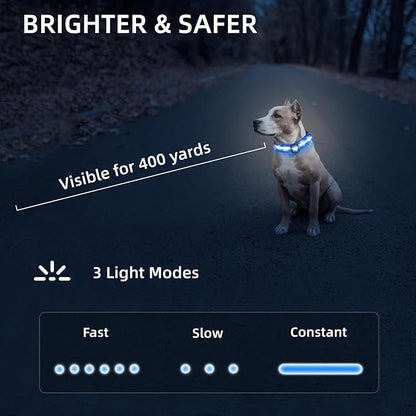 LED Dog Collar for Small Dogs Cats - Fully Waterproof & Adjustable Glow Collar - USB-C Rechargeable for Night Walking, Safety - Flashing Lighted Collar for Dogs(Blue,S)