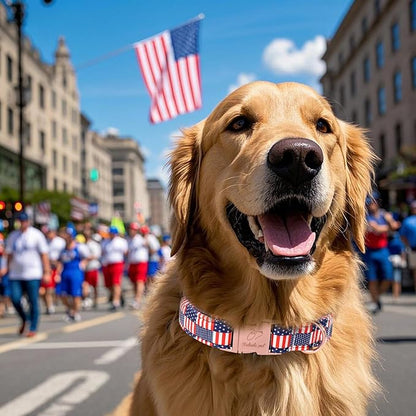 4th of July Dog Collar - US Flag Patriotic Dog Collars for Large Dogs, Adjustable Independence Day Stars & Stripes American Flag Collar L