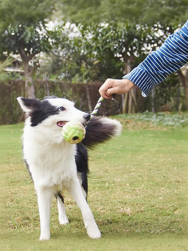 LOS ANDES Rope and Ball Dog Toy, Interactive Puppy Toy for Tug of War, Eco-Friendly Cotton Rope Toys, Medium/Small Dog Breed, Not Suitable for Dogs with Strong Aggressive Chewing