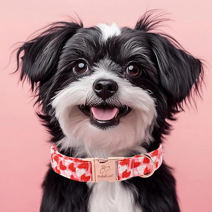 Valentines Dog Collar, Cute Pink Valentine Dog Collars, Doodle Heart Pattern, Adjustable Heavy Duty Pet Collar for Small Medium Large Dogs with Metal Buckle S