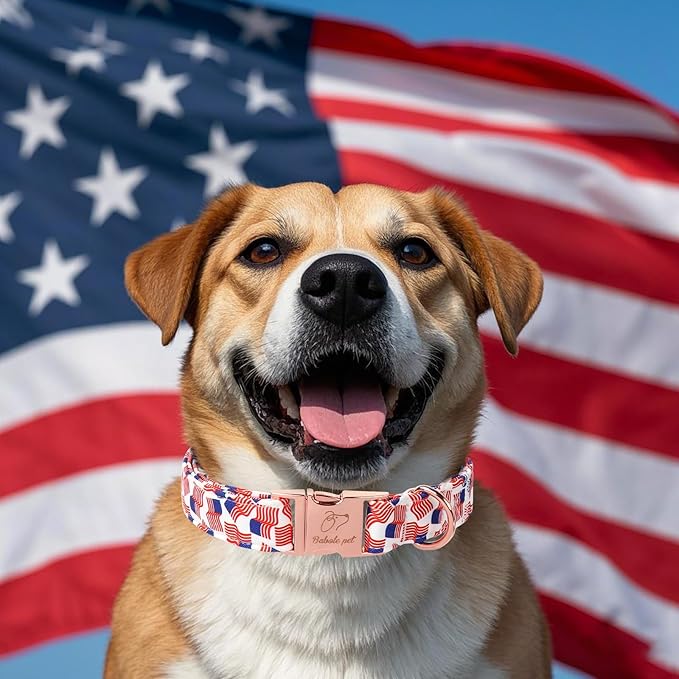 American Flag Dog Collar - 4th of July Dog Dog Collars for Giant Large Dogs, Adjustable Independence Day Metal Buckle Patriotic Dog Collar XL