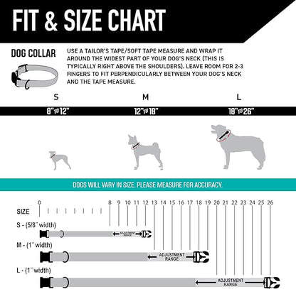 Wolfgang Heavy Duty, Adjustable Dog Collar with Quick Release Nylon Buckle for Walking & Training, BuenaOnda Print, Small