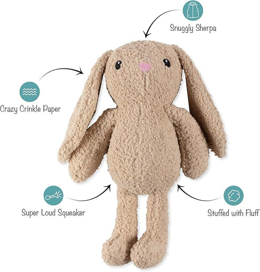 Fringe Studio Large Plush Dog Toy, Hoppy to See You, 19" Tall x 13" Wide, Pet Shop Collection (728034)