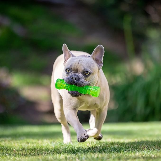 Hyper Pet DuraSqueaks Dog Toy Balls and Chews (Squeaky Dog Ball For Interactive Play – Floating Balls and Toys) - Medium Stick
