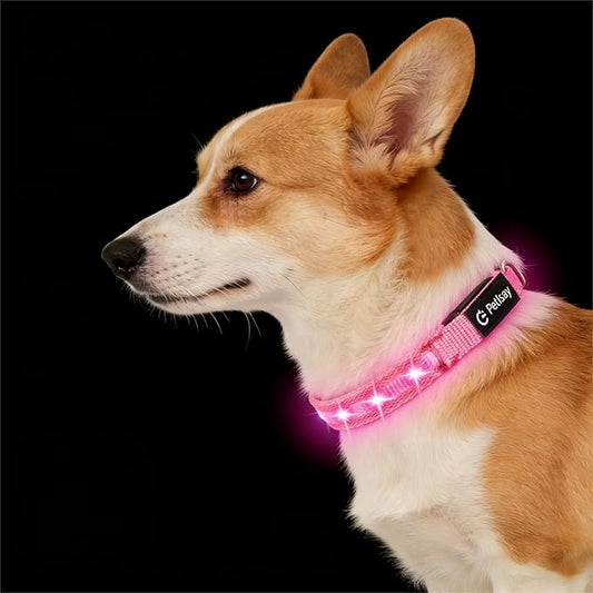 LED Dog Collar for Small Dogs Cats - Fully Waterproof & Adjustable Glow Collar - USB-C Rechargeable for Night Walking, Safety - Flashing Lighted Collar for Dogs(Pink,XS)