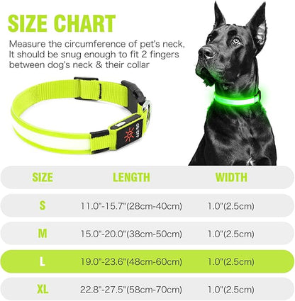 Illumifun LED Dog Collar, USB Rechargeable Light Up Dog Collars, Adjustable Glow Collars Safety Light for Small Medium Large Dogs (Green, Large)