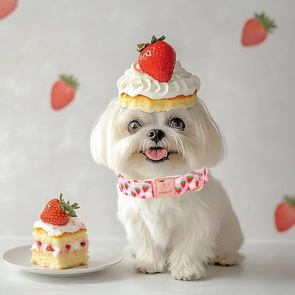 Strawberry Dog Collar for Giant Large Dogs - Adjustable Spring Summer Pink Girl Dog Collars, Cute Girly Female Pet Collar with Metal Buckle XL