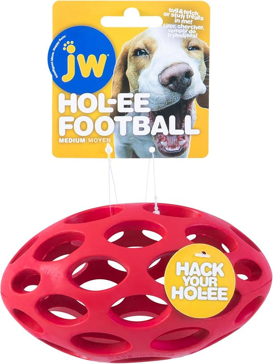 JW Pet Hol-ee Water Bottle Dog Toy, Not a Chew Toy, Medium