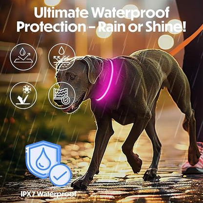Light Up Dog Collar – Reflective, Adjustable & Rechargeable Electronic Glow Pet Collars – Bright, Comfortable, High Visibility LED Dog Collar for Night Safety, Outdoor Walk & Flashing Fun, Pink, Small