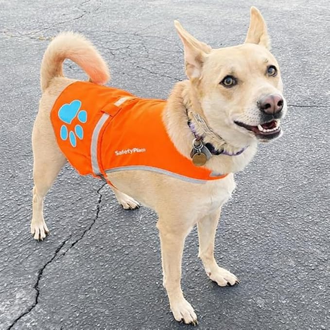 SafetyPUP XD Reflective Dog Vest. Hi-Visibility, Fluorescent Blaze Orange Dog Vest Helps Protect Your Best Friend. Safeguard Your PUP from Motorists & Hunting Accidents, On or Off Leash (X-Small)