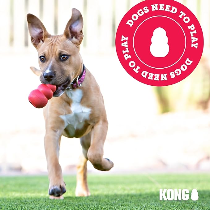 KONG Wubba Finz - Dog Toy for Tug of War & Fetch - Dog Supplies for Puppy & Dog Playtime - Outdoor & Indoor Dog Toy (Blue, Small)