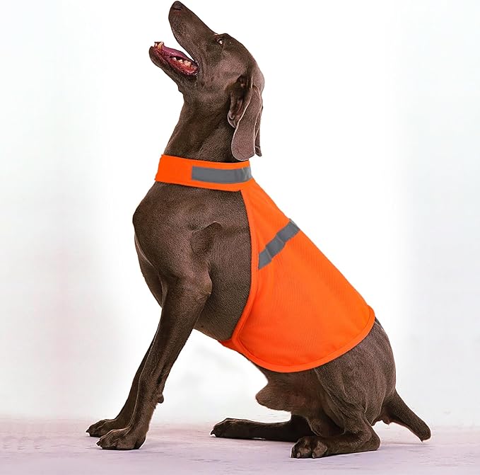 Dog Jacket High Visibility Safety Reflective Dog Vest for Small Medium Large Dogs (Medium, Orange)
