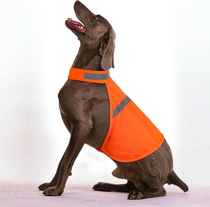 Dog Jacket High Visibility Safety Reflective Dog Vest for Small Medium Large Dogs (Small, Orange)