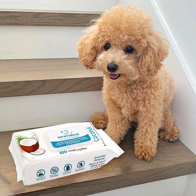Best Pet Supplies 8" x 9" Large Dog Wipes - Cleaning and Deodorizing for Paws and Coat - Gentle Formula with Coconut Vitamin E for Puppies and Cats - 400 Count