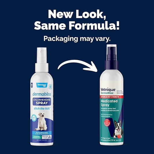 Vetnique DermaBliss Advanced Strength Chlorhexidine for Dogs Skin Spray - Antibacterial Medicated Spray for Skin Infections & Irritation, Hot Spots & Yeast Areas (Medicated Spray, 8oz)