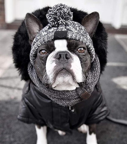 Dog Kintted Hat,Winter Warm Woolen Cap for Small Medium Large Dogs,Puppy Pom Pom Hat Headwear Costume Accessory (Grey L)