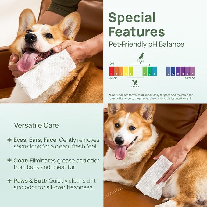 HICC PET Wipes for Dogs & Cats, Cleansing Deodorizing & Soothing Allergy Infections Anal Gland Pets Wipes with Coconut Oil - Dog Grooming Wipes for Butt and Paw - Hypoallergenic & Vet Recommended