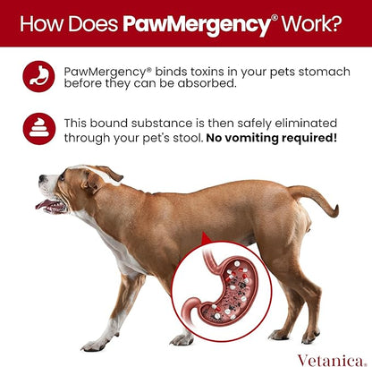 PawMergency – Activated Charcoal First Aid Kit Emergency Rescue 4 Pack for Dogs, Cats, Puppy & Pet Poison Kit, Camping Survival Remedy Essential, Oral Anti Diarrhea Digestive Absorb Toxins (4 pack)
