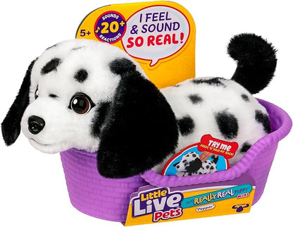 Little Live Pets My Really Real Puppy Mini Pepper The Dalmatian, Interactive Plush Toy with Basket, 20+ Sounds and Reactions, Puppy Toys for Kids