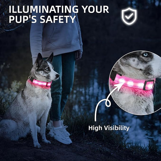 Super Bright LED Dog Collar - Fully Waterproof & Adjustable Glow Collar - USB-C Rechargeable for Night Walking, Safety - Flashing Lighted Collar for Dogs(Pink,L)