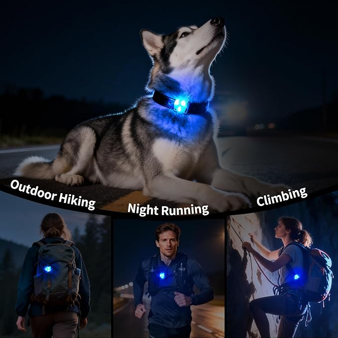 LaRoo LED Dog Collar Light - Waterproof Clip-On 3 Modes, High Visibility for Night Walking/Camping, Pet Safety Light for Small/Medium/Large Dogs (Blue)