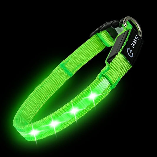 LED Dog Collar for Small Dogs Cats - Fully Waterproof & Adjustable Glow Collar - USB-C Rechargeable for Night Walking, Safety - Flashing Lighted Collar for Dogs(Green,XS)