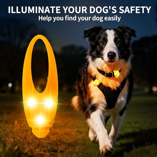 LaRoo Dog Lights for Night Walking, LED Dogs Collar Lights for Nighttime Clip On Light up Dog Collar Pet Camping Essentials （Orange）