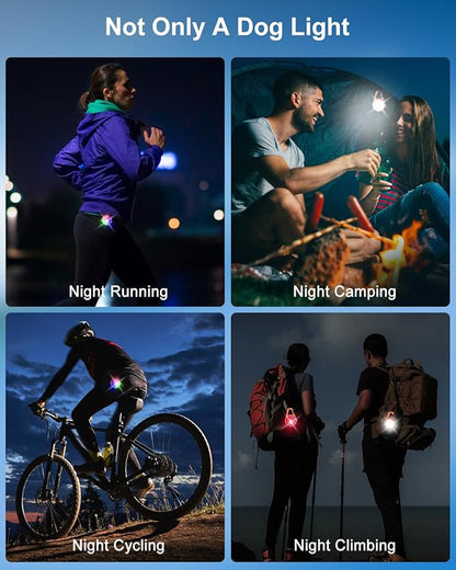 2 Pack Dog Collar Light, 4 Modes Clip On Dog Lights for Night Walking, Glow in The Dark LED Pet Collar Charm, Rechargeable Pet Camping Essentials for Nighttime Running, Cycling, Hiking(Orange)