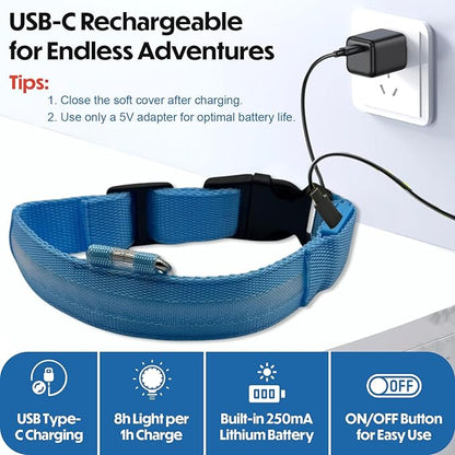 Light Up Dog Collar – Reflective, Adjustable & Rechargeable Electronic Glow Pet Collars – Bright, Comfortable, High Visibility LED Dog Collar for Night Safety, Outdoor Walk, Flashing Fun, Blue, Medium