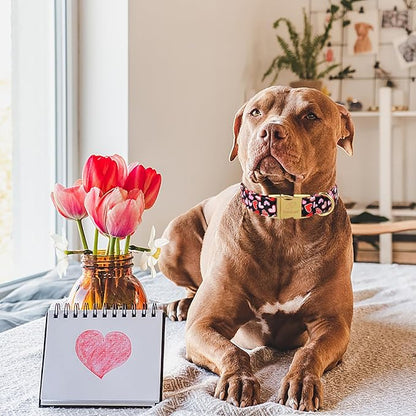 Valentines Dog Collar, Cute Heart Valentine Pet Collar with Metal Buckel, Durable Adjustable Holiday Dog Collars for Small Medium Large Dogs S