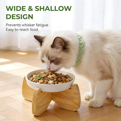 Raised Cat Bowls, 6.3'' Wide Shallow Elevated Cat Food Bowls, Ceramic Anti Vomit Tilted Pet Feeder with Stand, Anti Whisker Fatigue Neck Protective Feeding Dish for Kittens & Seniors (2 Pack)