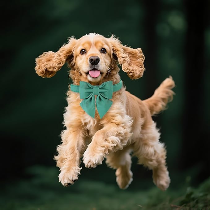 Maca Bates Jade Green Dog Collar with Cute Solid Sailor Bow Tie for Extra Small Girl Boy Dogs,Adjustbale Durable Breakaway Soft Collars with Bowtie for Female Male Puppy,Pet with Metal Buckle