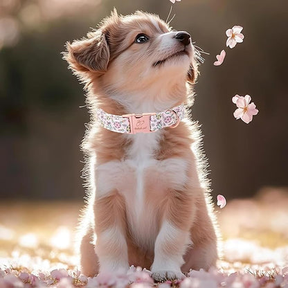 Easter Dog Collar, Pastel Floral Egg Easter Collars for Large Dogs, Cute Girly Spring Holiday Dog Collars, Adjustable Heavy Duty Female Pet Collar with Metal Buckle L